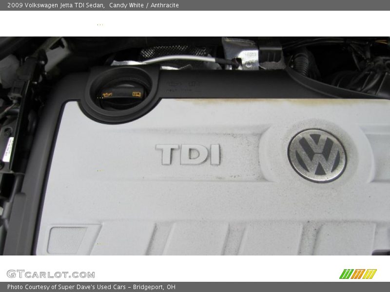 Candy White / Anthracite 2009 Volkswagen Jetta TDI Sedan