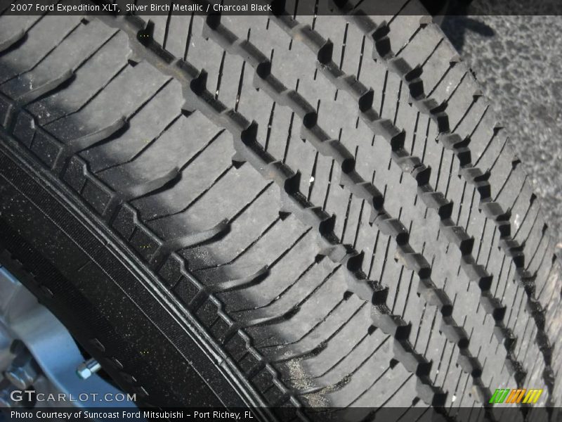 Silver Birch Metallic / Charcoal Black 2007 Ford Expedition XLT