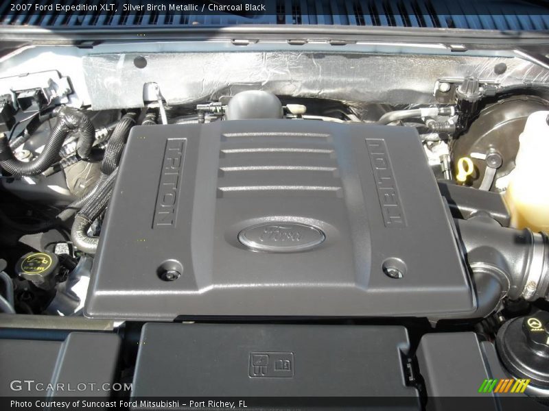 Silver Birch Metallic / Charcoal Black 2007 Ford Expedition XLT