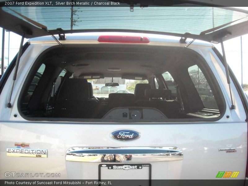 Silver Birch Metallic / Charcoal Black 2007 Ford Expedition XLT