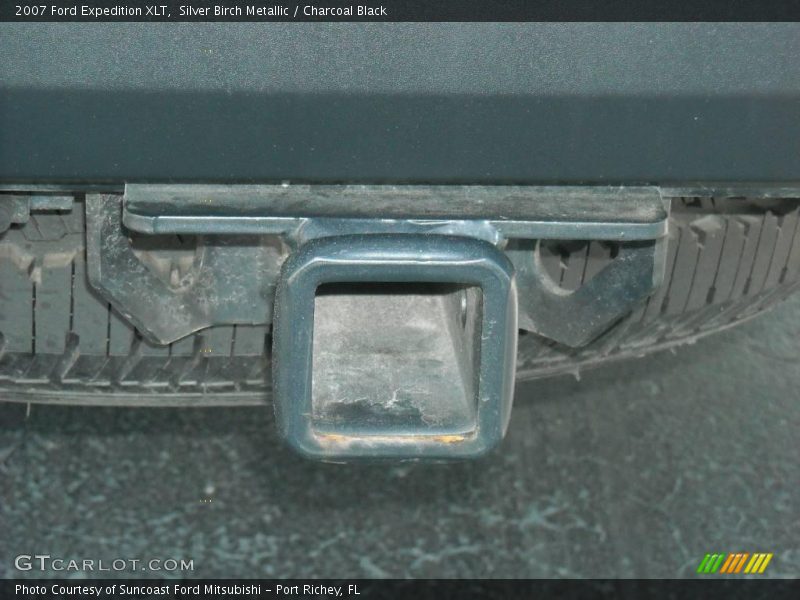Silver Birch Metallic / Charcoal Black 2007 Ford Expedition XLT