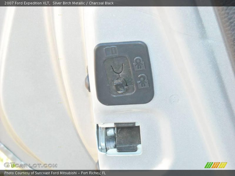 Silver Birch Metallic / Charcoal Black 2007 Ford Expedition XLT