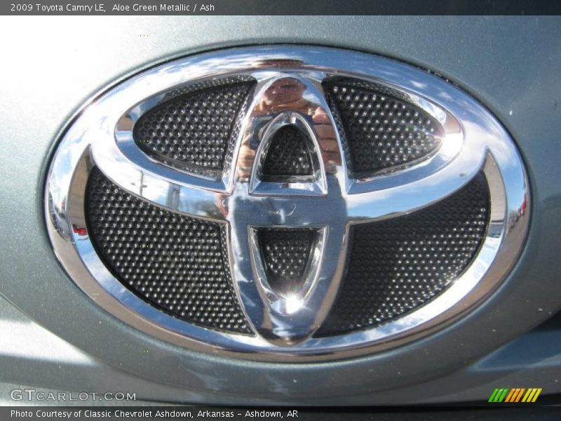 Aloe Green Metallic / Ash 2009 Toyota Camry LE