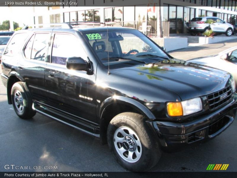 Ebony Black / Gray 1999 Isuzu Rodeo LS