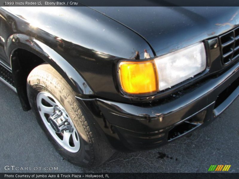 Ebony Black / Gray 1999 Isuzu Rodeo LS