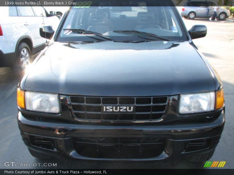 Ebony Black / Gray 1999 Isuzu Rodeo LS