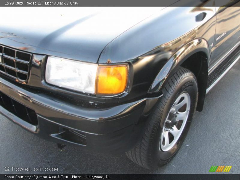 Ebony Black / Gray 1999 Isuzu Rodeo LS