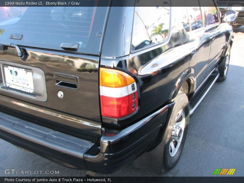 Ebony Black / Gray 1999 Isuzu Rodeo LS