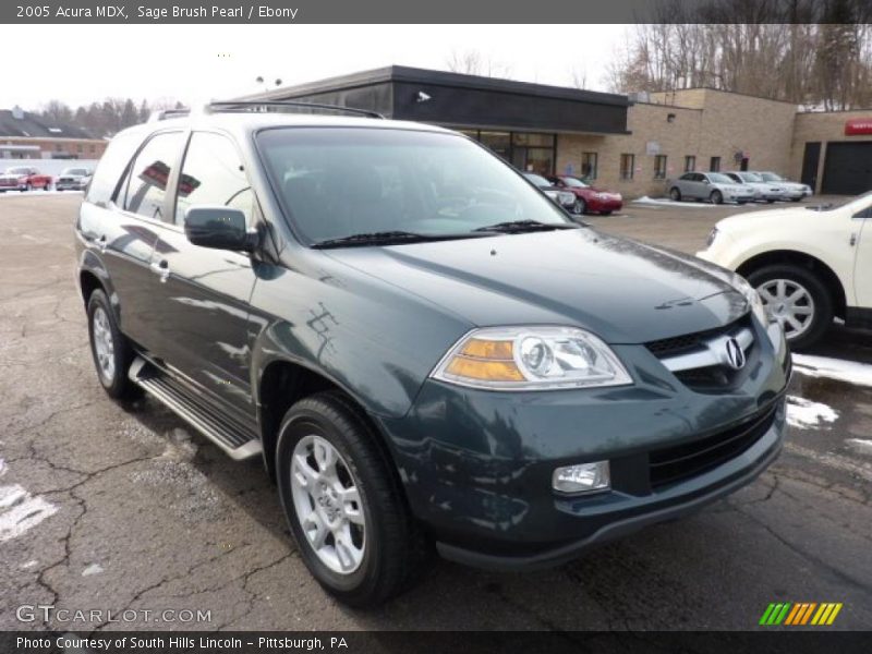 Sage Brush Pearl / Ebony 2005 Acura MDX