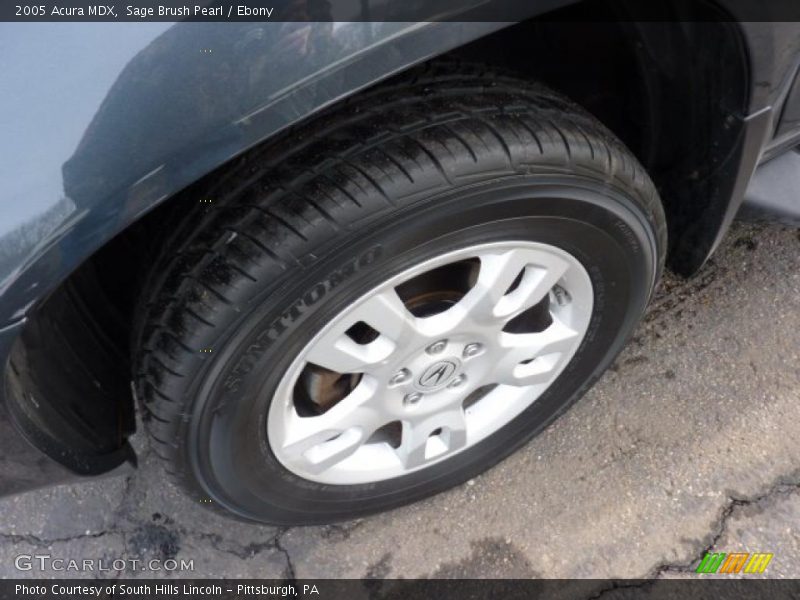 Sage Brush Pearl / Ebony 2005 Acura MDX