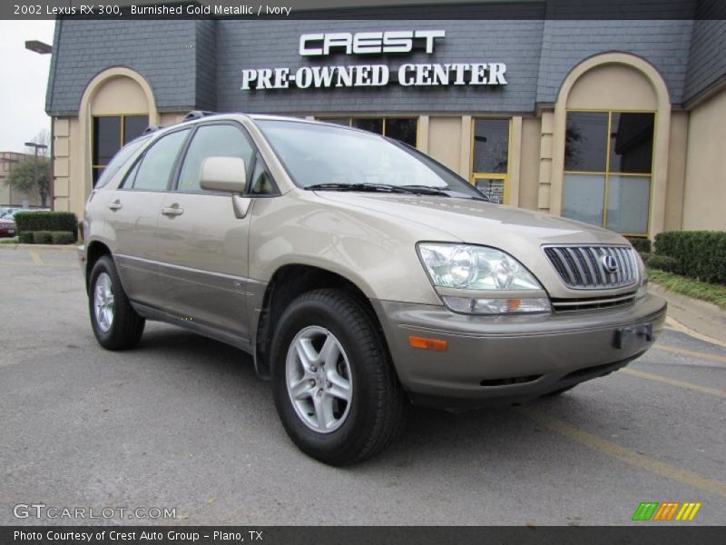 Burnished Gold Metallic / Ivory 2002 Lexus RX 300