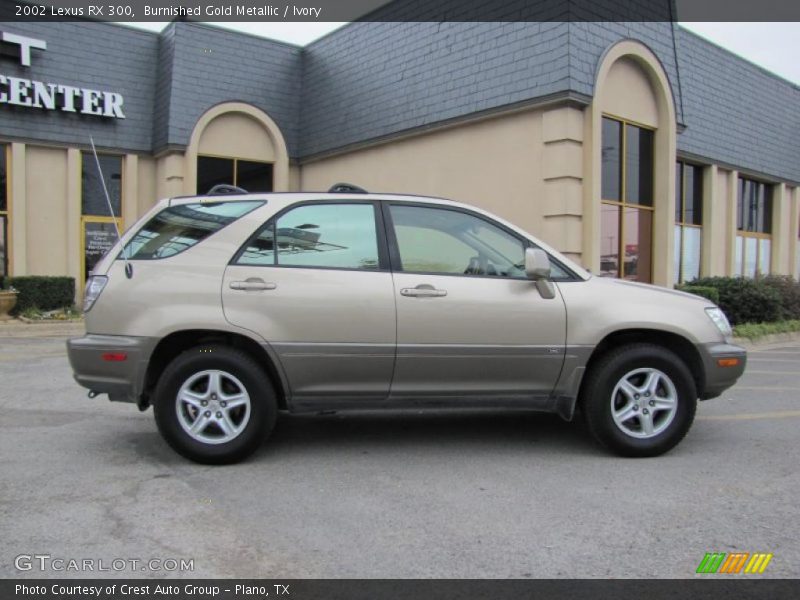 Burnished Gold Metallic / Ivory 2002 Lexus RX 300