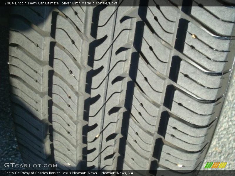 Silver Birch Metallic / Shale/Dove 2004 Lincoln Town Car Ultimate