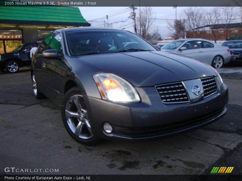 Smoke Metallic / Frost 2005 Nissan Maxima 3.5 SE