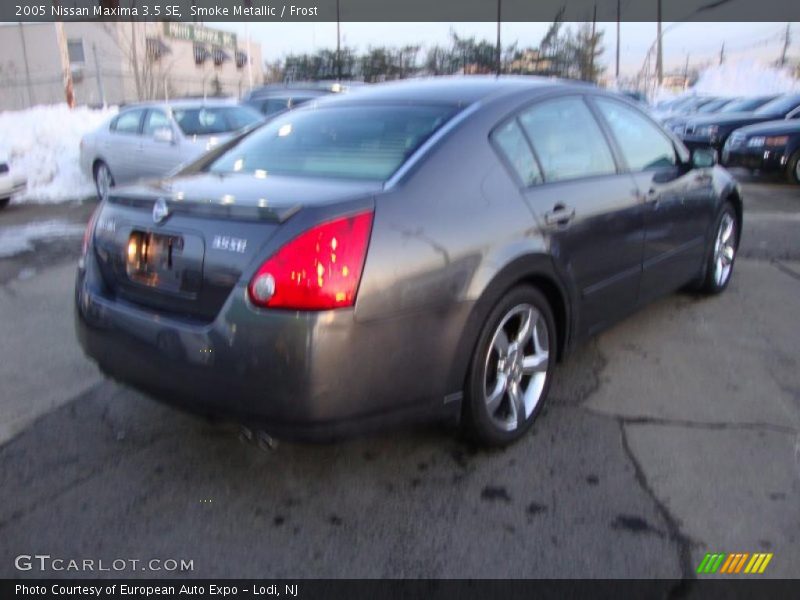 Smoke Metallic / Frost 2005 Nissan Maxima 3.5 SE