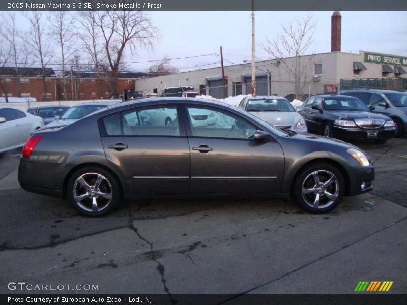 Smoke Metallic / Frost 2005 Nissan Maxima 3.5 SE