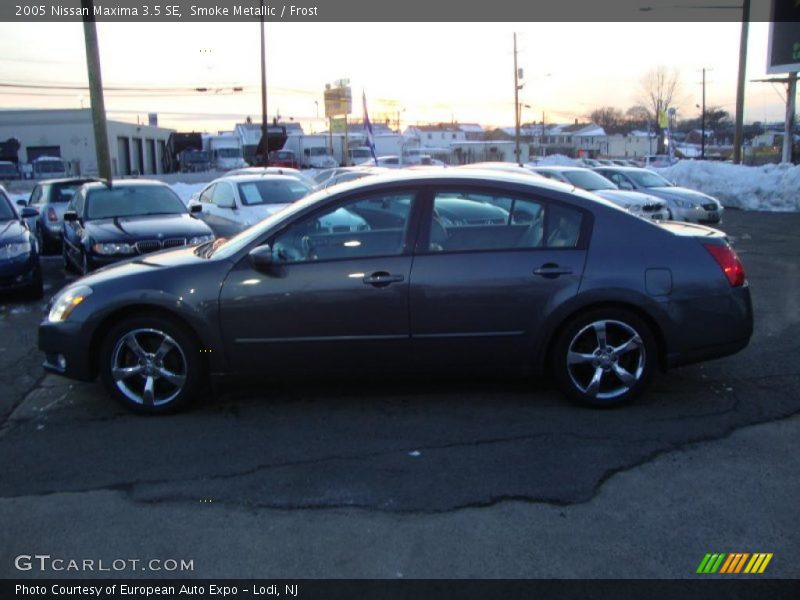 Smoke Metallic / Frost 2005 Nissan Maxima 3.5 SE