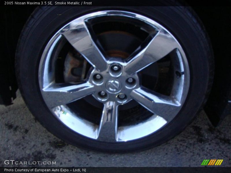 Smoke Metallic / Frost 2005 Nissan Maxima 3.5 SE