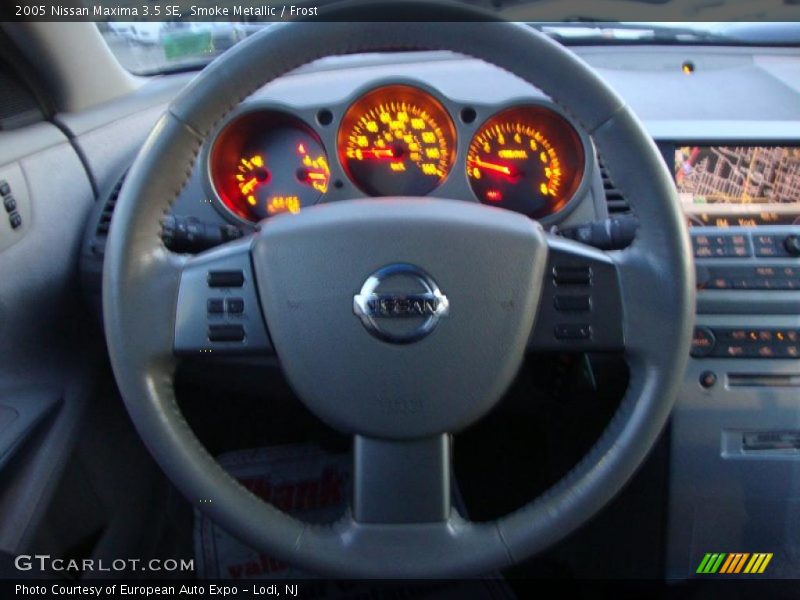 Smoke Metallic / Frost 2005 Nissan Maxima 3.5 SE