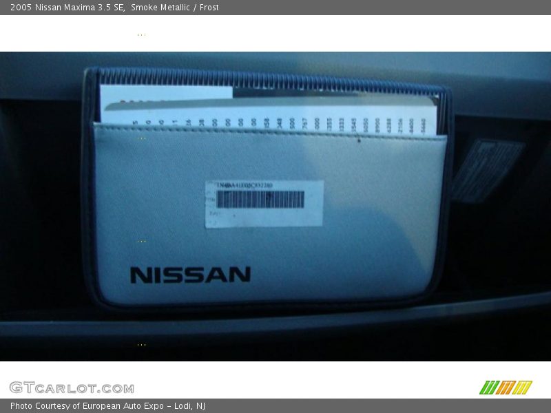 Smoke Metallic / Frost 2005 Nissan Maxima 3.5 SE