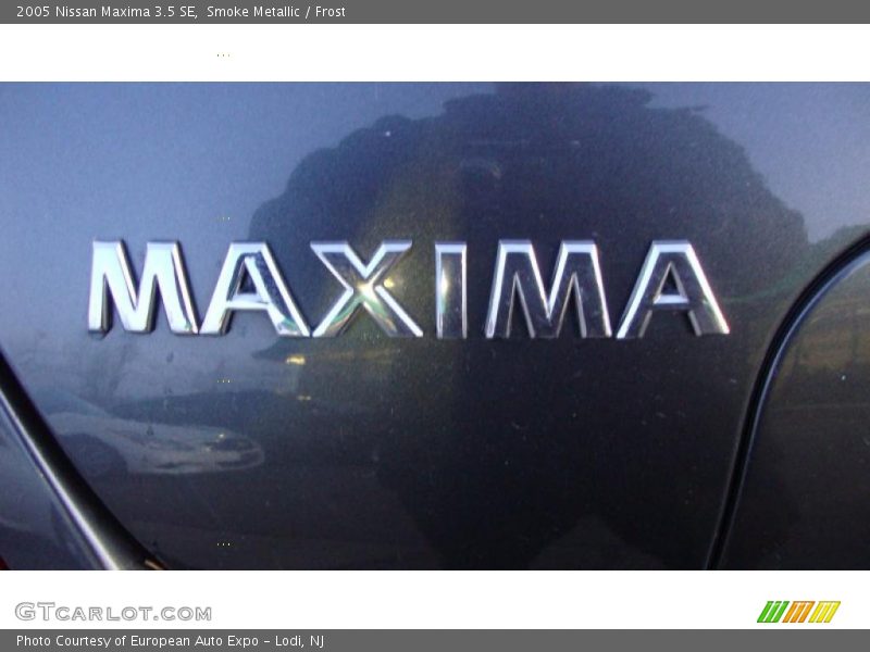 Smoke Metallic / Frost 2005 Nissan Maxima 3.5 SE