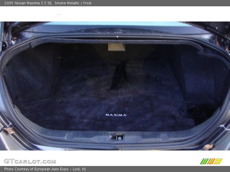 Smoke Metallic / Frost 2005 Nissan Maxima 3.5 SE