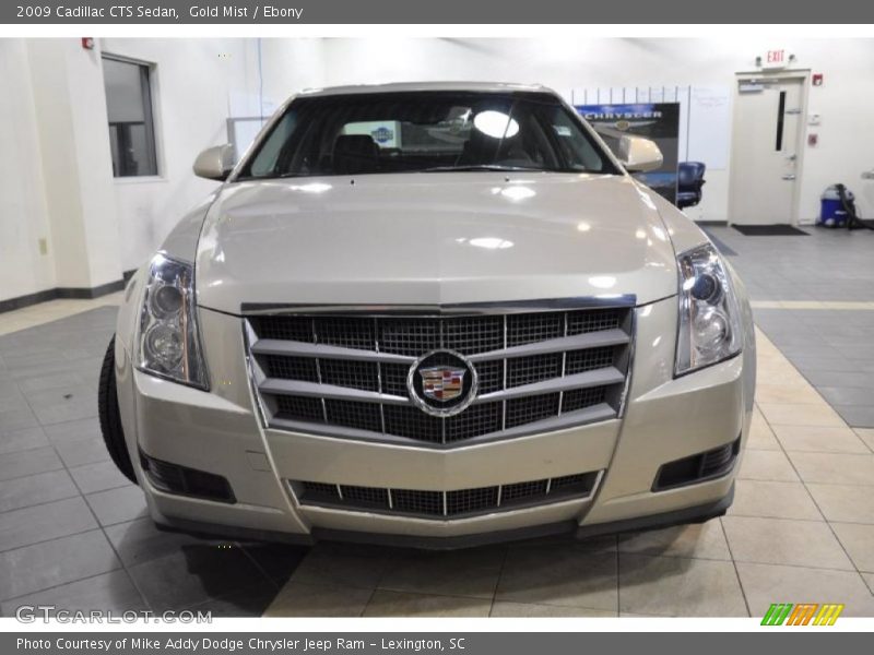 Gold Mist / Ebony 2009 Cadillac CTS Sedan