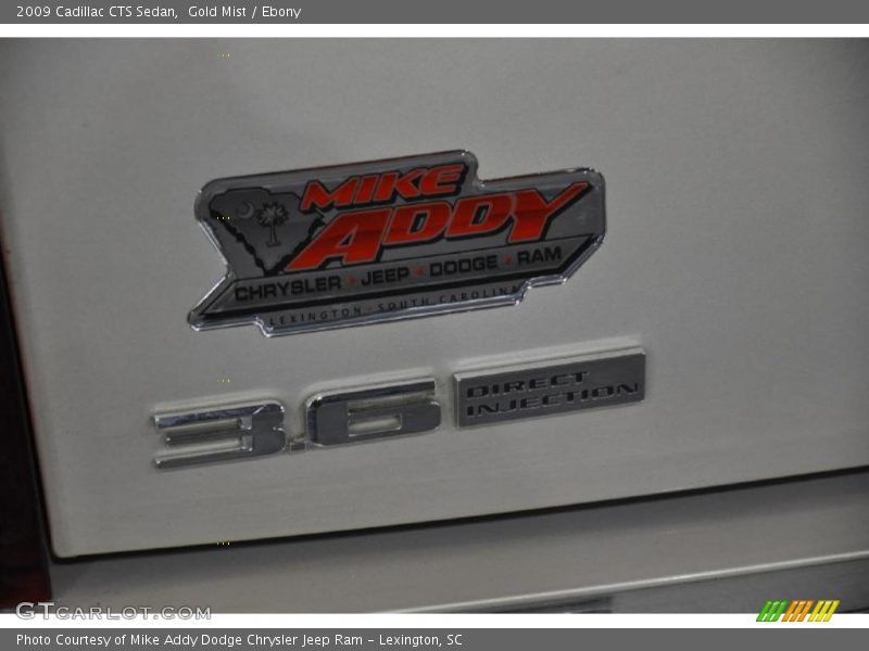 Gold Mist / Ebony 2009 Cadillac CTS Sedan