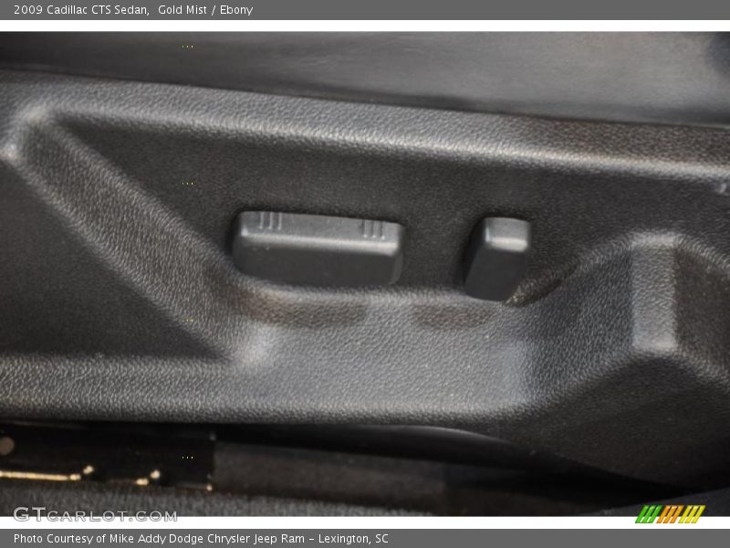 Gold Mist / Ebony 2009 Cadillac CTS Sedan