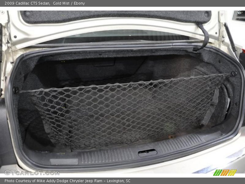 Gold Mist / Ebony 2009 Cadillac CTS Sedan