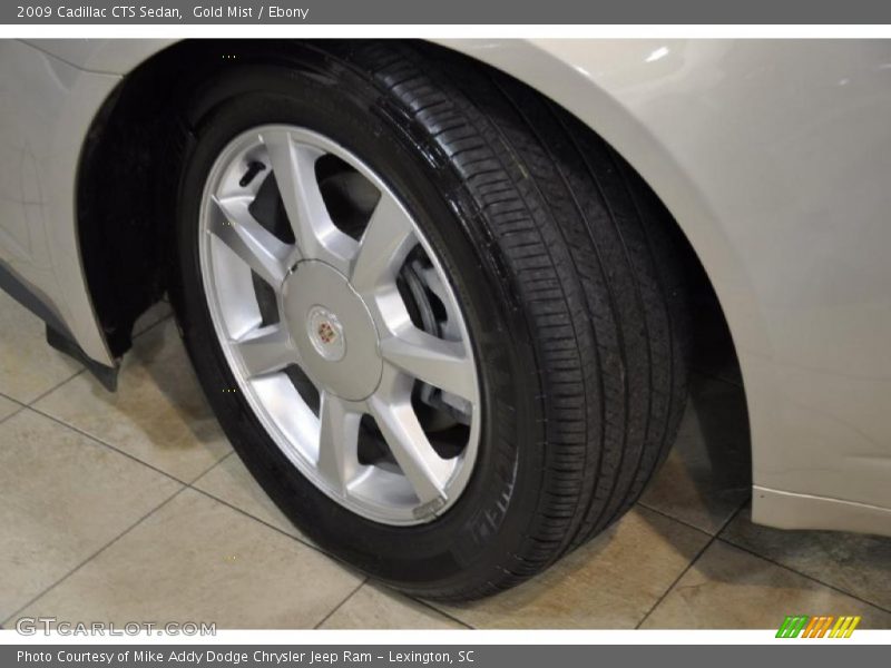 Gold Mist / Ebony 2009 Cadillac CTS Sedan