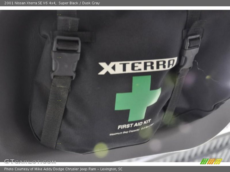 Super Black / Dusk Gray 2001 Nissan Xterra SE V6 4x4