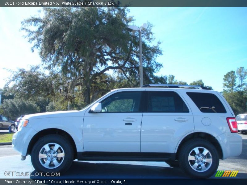 White Suede / Charcoal Black 2011 Ford Escape Limited V6