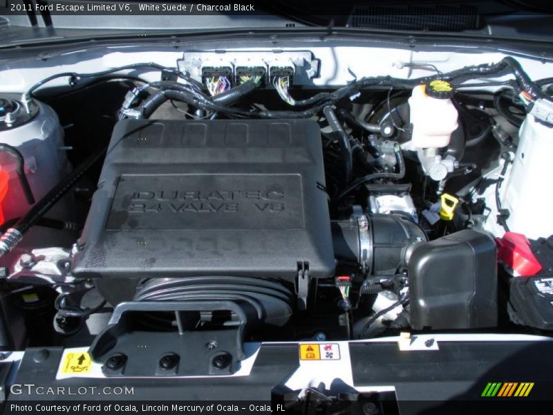 White Suede / Charcoal Black 2011 Ford Escape Limited V6