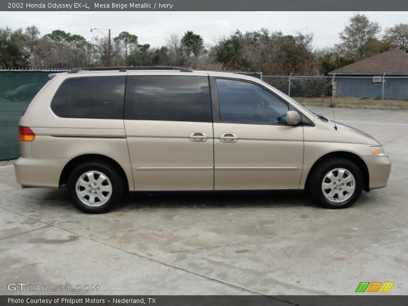 Mesa Beige Metallic / Ivory 2002 Honda Odyssey EX-L