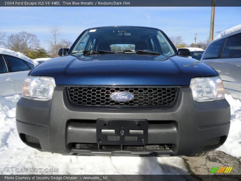 True Blue Metallic / Medium/Dark Flint 2004 Ford Escape XLS V6 4WD