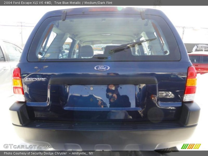 True Blue Metallic / Medium/Dark Flint 2004 Ford Escape XLS V6 4WD