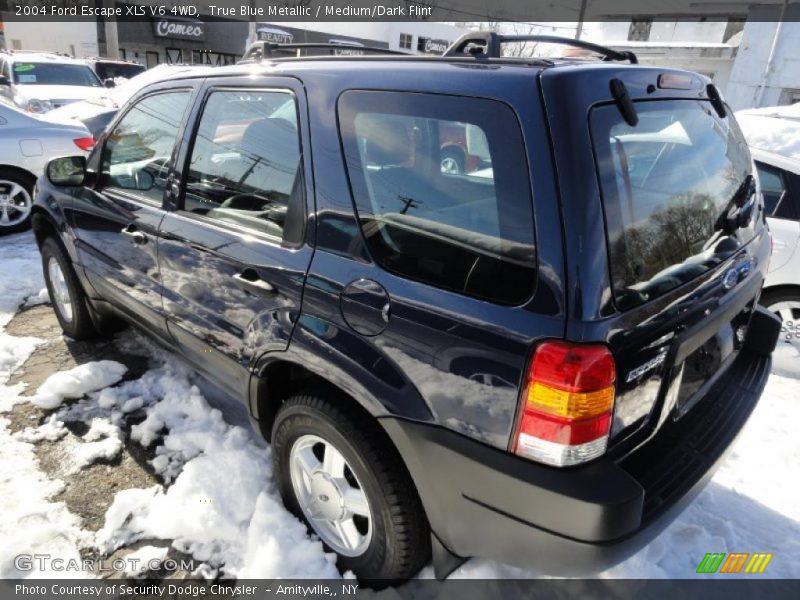 True Blue Metallic / Medium/Dark Flint 2004 Ford Escape XLS V6 4WD