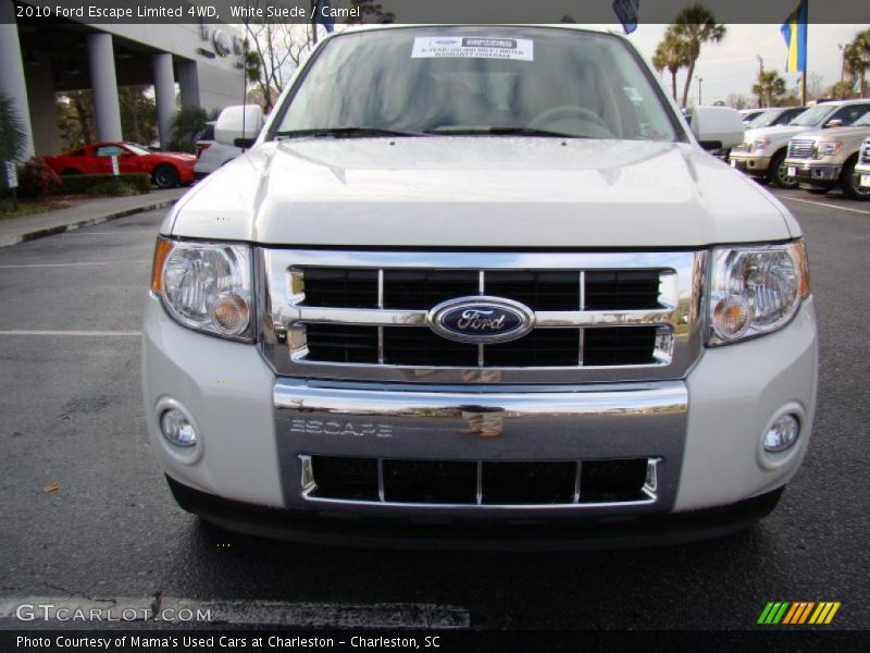 White Suede / Camel 2010 Ford Escape Limited 4WD