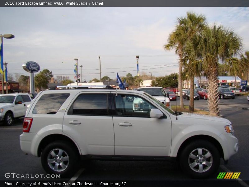 White Suede / Camel 2010 Ford Escape Limited 4WD