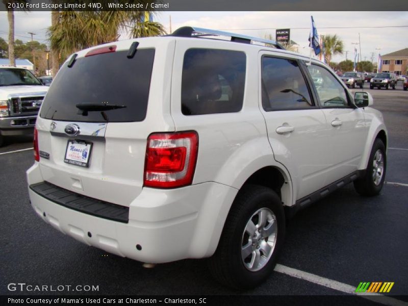 White Suede / Camel 2010 Ford Escape Limited 4WD