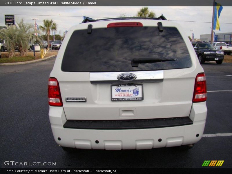 White Suede / Camel 2010 Ford Escape Limited 4WD