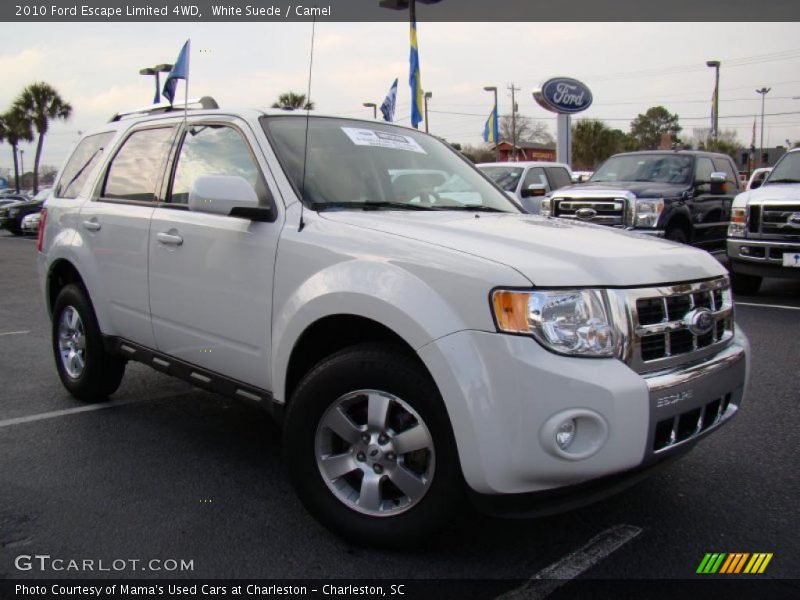 White Suede / Camel 2010 Ford Escape Limited 4WD