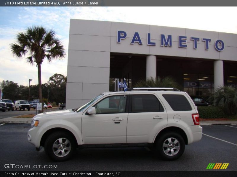 White Suede / Camel 2010 Ford Escape Limited 4WD