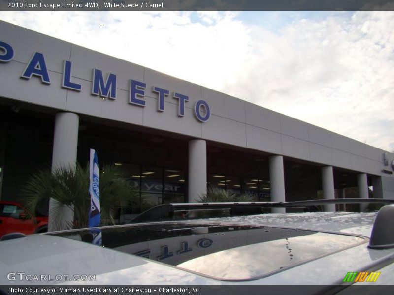 White Suede / Camel 2010 Ford Escape Limited 4WD
