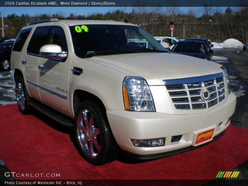White Diamond / Ebony/Ebony 2009 Cadillac Escalade AWD