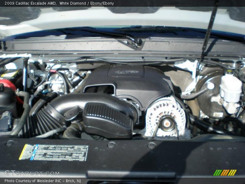 White Diamond / Ebony/Ebony 2009 Cadillac Escalade AWD