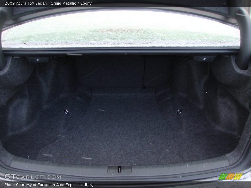 Grigio Metallic / Ebony 2009 Acura TSX Sedan