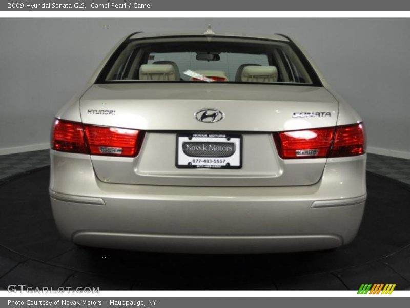 Camel Pearl / Camel 2009 Hyundai Sonata GLS