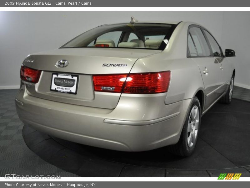 Camel Pearl / Camel 2009 Hyundai Sonata GLS